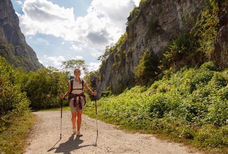 A Hiker Adventurously Exploring a Scenic and Beautiful Trail Surrounded by Natures Splendorの写真素材