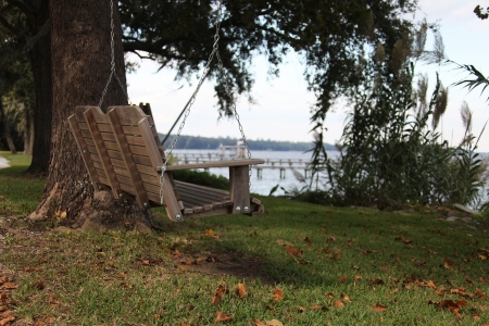 Florida landscapeの写真素材