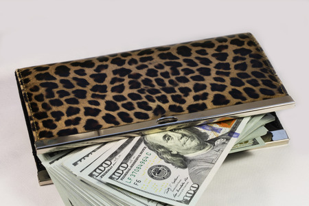change purse with one hundred dollar billsの写真素材