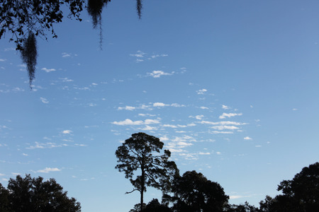 Cloudsの写真素材