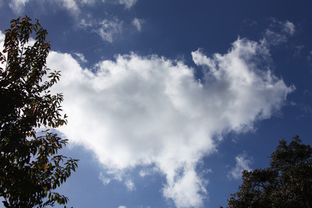 Cloudsの写真素材