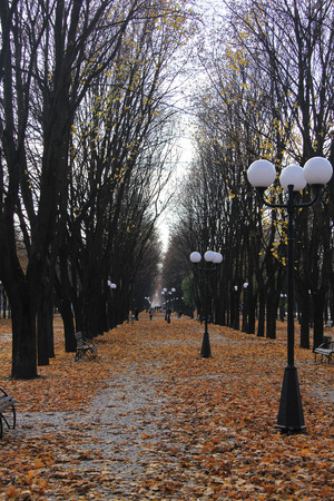 street lamps in a city parkの写真素材