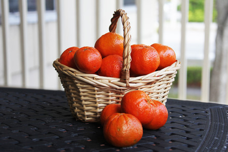 tangerines in a basketの写真素材