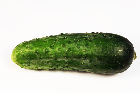 cucumber in white backgroundの写真素材