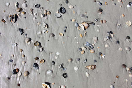 close view of the ground on the shore