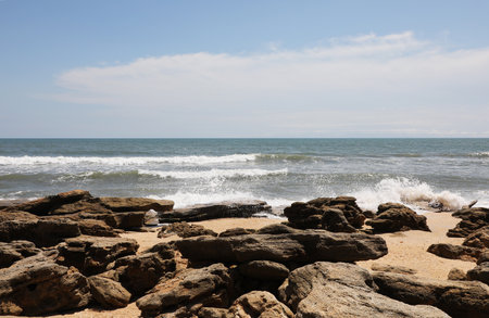 Flagler Beach in Atlantic coast of north Floridaの写真素材
