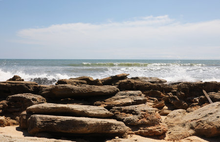 Flagler Beach in Atlantic coast of north Floridaの写真素材