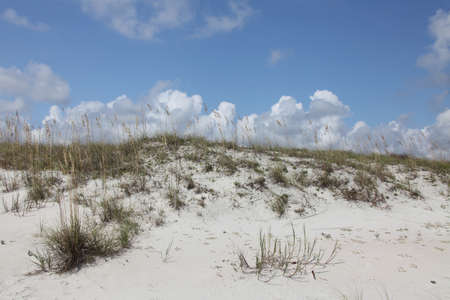white sand dune of Florida beach on Atlantic coast in summer timeの写真素材