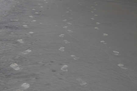 Footprint on sandy beachの写真素材
