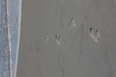 Footprint on sandy beach