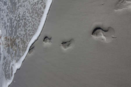Footprint on sandy beachの写真素材