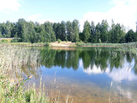 Lake in the forestの写真素材