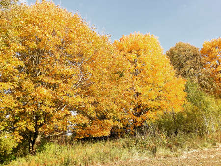 Autumn landscapeの写真素材