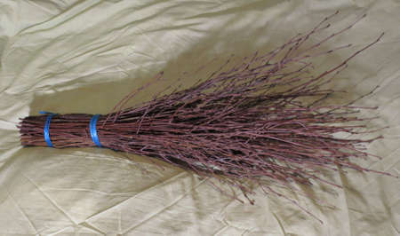 Broom for cleaning the territory, from birch branchesの写真素材