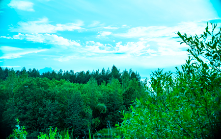 Sergiev Posad, Moscow region, Russia-16 June-2018: natural parks of the Moscow region, Summer Juneの写真素材