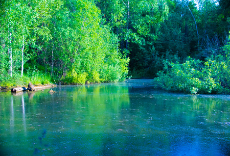 natural parks of the Moscow region, lake in the impenetrable forest, a pond in the woodsの写真素材