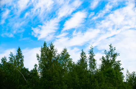 natural parks of the Moscow region,の写真素材