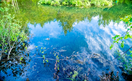 natural parks of the Moscow region, lake in the impenetrable forest, a pond in the woodsの写真素材
