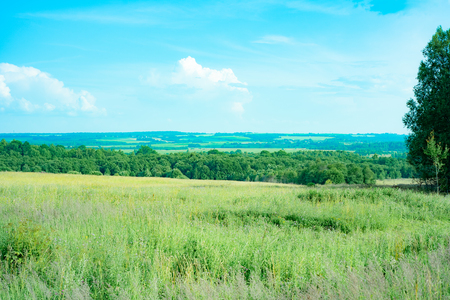 green field drifting in the distance, the Russian land.の写真素材