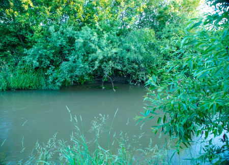 The beauty of Russian nature, natural parks of the Moscow region, Forest pond around here to fish.の写真素材
