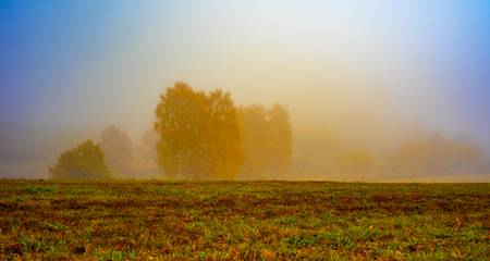 Nature of moscow region 15.10.2018.Autumn forest in the fog.の写真素材