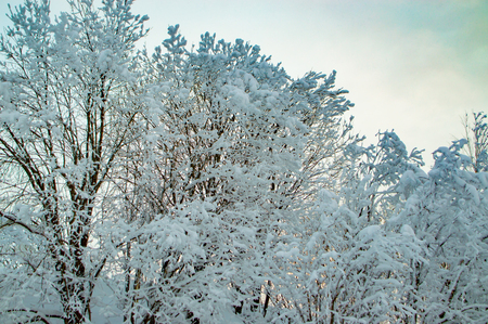 Winter landscape of the Russian province.Sergiev Posad,の写真素材