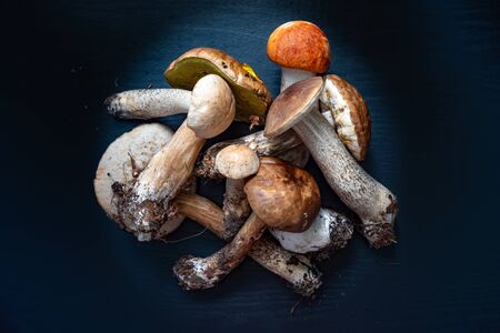 Forest mushrooms, aspen,boletus. - nature of Russia.Moscow region.Russia.2019の写真素材