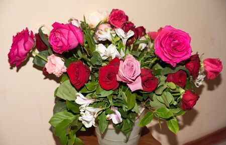 Beautiful Bouquet of Roses,wonderful aroma of flowers.Russia.2019の写真素材