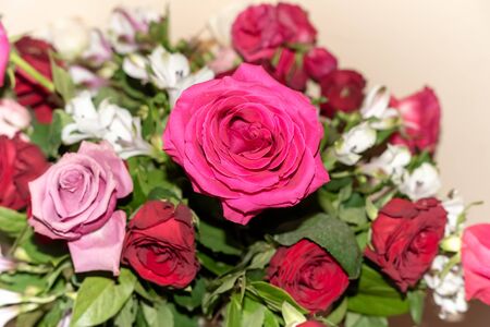 Beautiful Bouquet of Roses, - gorgeous bouquet of flowers.Russia.2019の写真素材