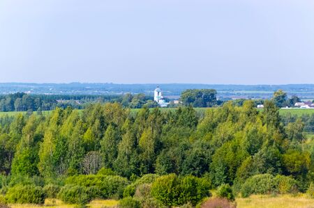 The nature of the Moscow region - View of the summer forest near Moscow.Moscow region.Russia.の写真素材