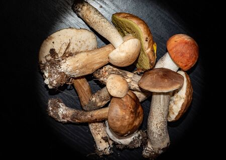 Forest mushrooms, aspen,boletus. - nature of Russia.Moscow region.Russia.2019の写真素材