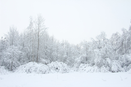 Magnificent winter frosty landscape for background splash The beauty of the winter forest in Russia, this is not sand in the desert.の写真素材