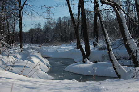 The beauty of the winter forest in Russia, this is not sand in the desert. Magnificent winter frosty landscape for background splash.の写真素材