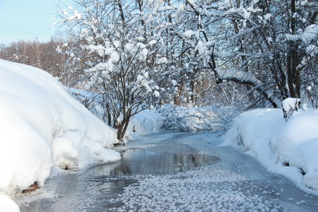 Magnificent winter frosty landscape for background splash. The beauty of the winter forest in Russia, this is not sand in the desert.の写真素材