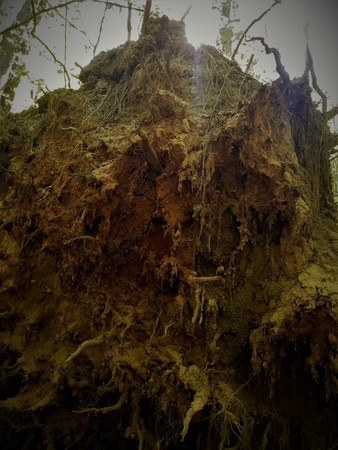 The terrestrial heap of the bizarre form is very similar to a ghost, a monster, a goblin, a scary, a pirate if the glare of light and shadow creates an illusion. Background picture, sculpture.の写真素材