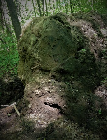 The terrestrial heap of the bizarre form is very similar to a ghost, a monster, a goblin, a scary, a pirate if the glare of light and shadow creates an illusion. Background picture, sculpture.の写真素材