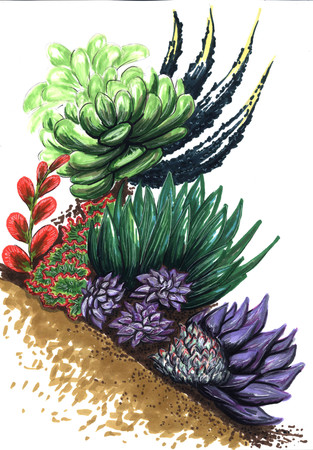 Painted exotic flowers for the plan of landscaping of the territory.の写真素材