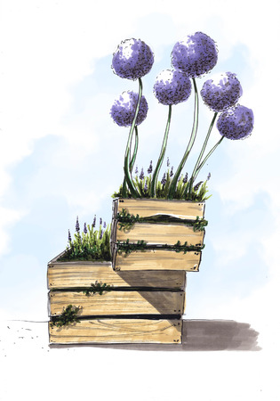 Painted exotic flowers for the plan of landscaping of the territory.の写真素材
