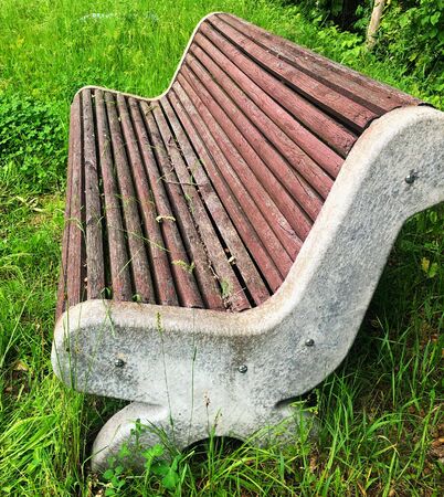 Bench in the park under big tree,vintage style imageの写真素材