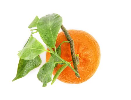 Mandarin with a sprig and leaves on a white background. Citrus fruit isolate.の写真素材