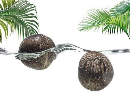 Two coconuts in the water against a tropical landscapeの写真素材