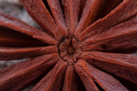 Dried star anise fruit with seeds close-upの写真素材