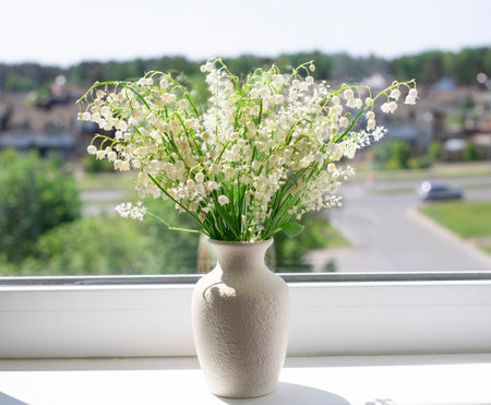 Lily of the valley (Convallaria majalis or May bells) in a ceramic vase on the windowsillの写真素材