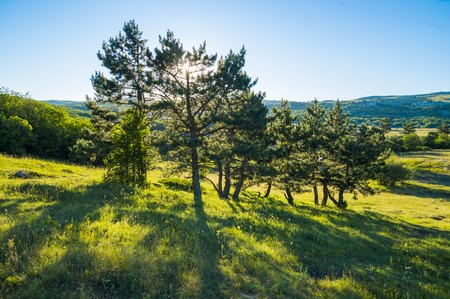 Summer Crimean mountain view from Ai-Petri peakの写真素材