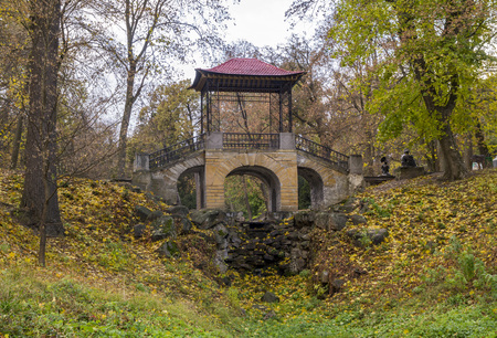 Bridge near the lake in the park in autumn seasonの写真素材