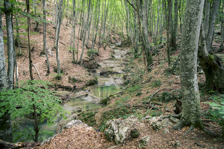 Waterfall on a mountain river of Crimean Grand Canyonの写真素材