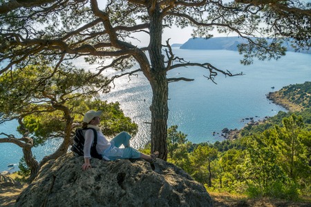 Black Sea Bay and Pine Tree on Crimean Mountainsの写真素材