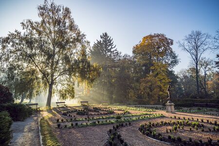 Autumn in the morning parkの写真素材