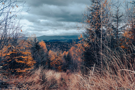 Scenic colorful mountain landscape. View on the Carpathian mountains in the autumn. Clouds in the skyの写真素材