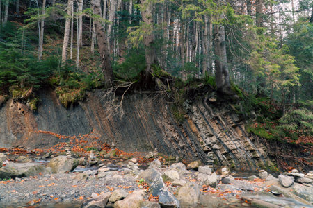 Mountain stream. The bed of a mountain river in autumnの写真素材